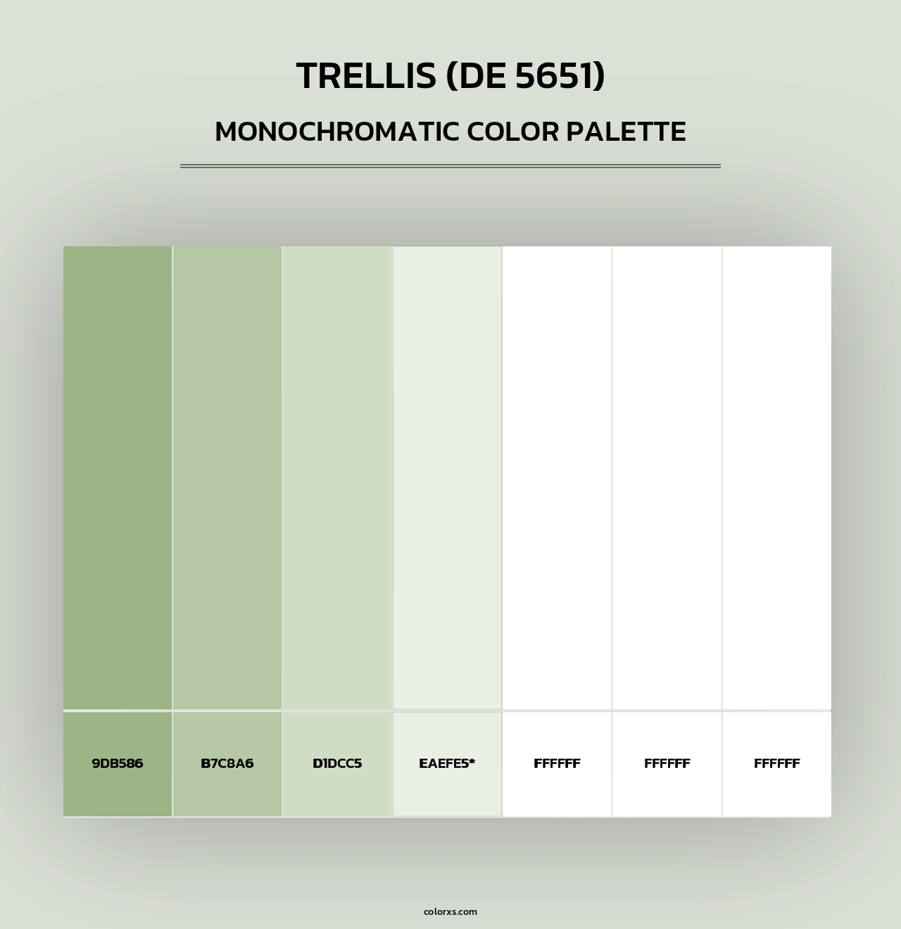 Trellis (DE 5651) - Monochromatic Color Palette