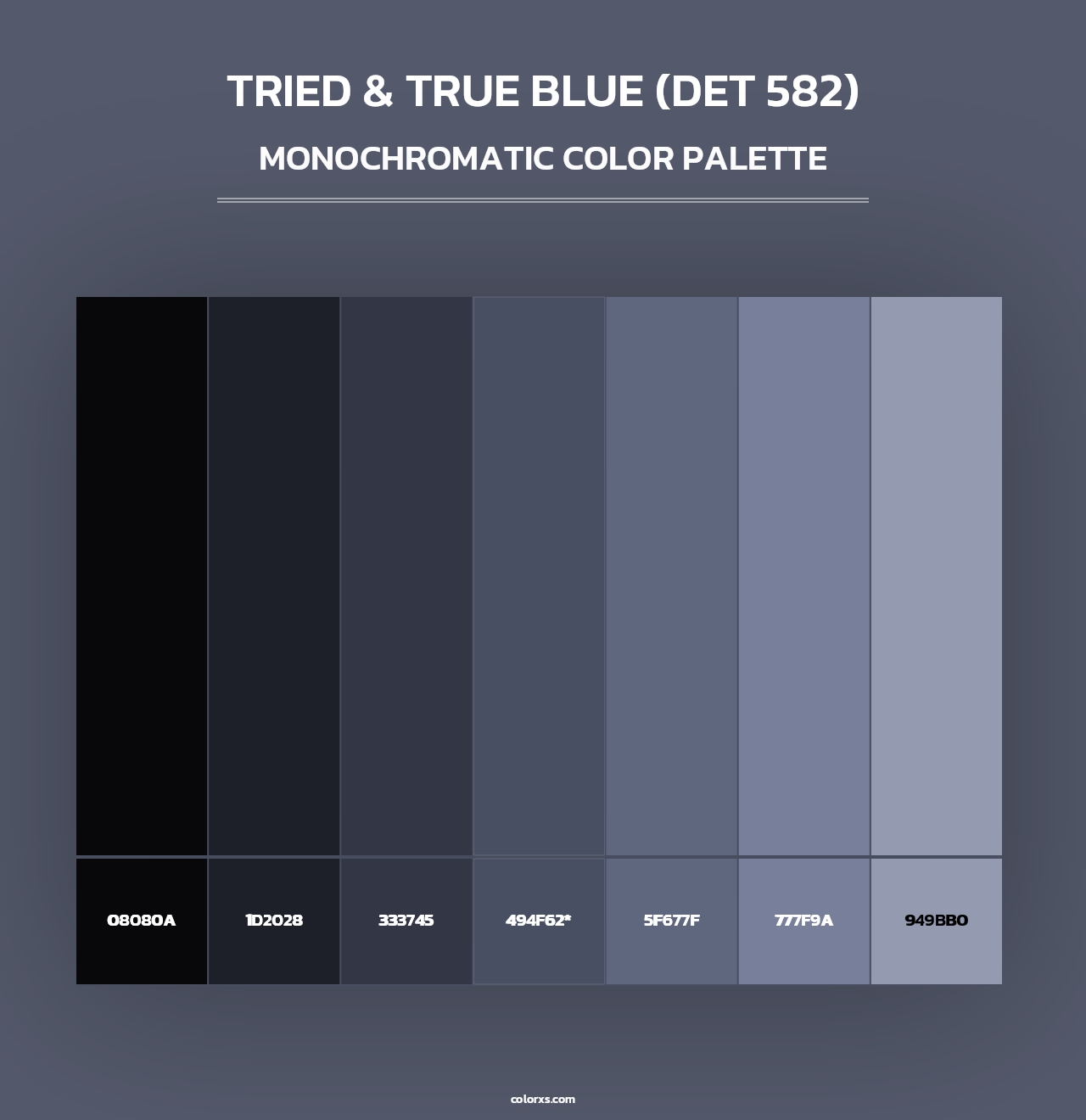Tried & True Blue (DET 582) - Monochromatic Color Palette
