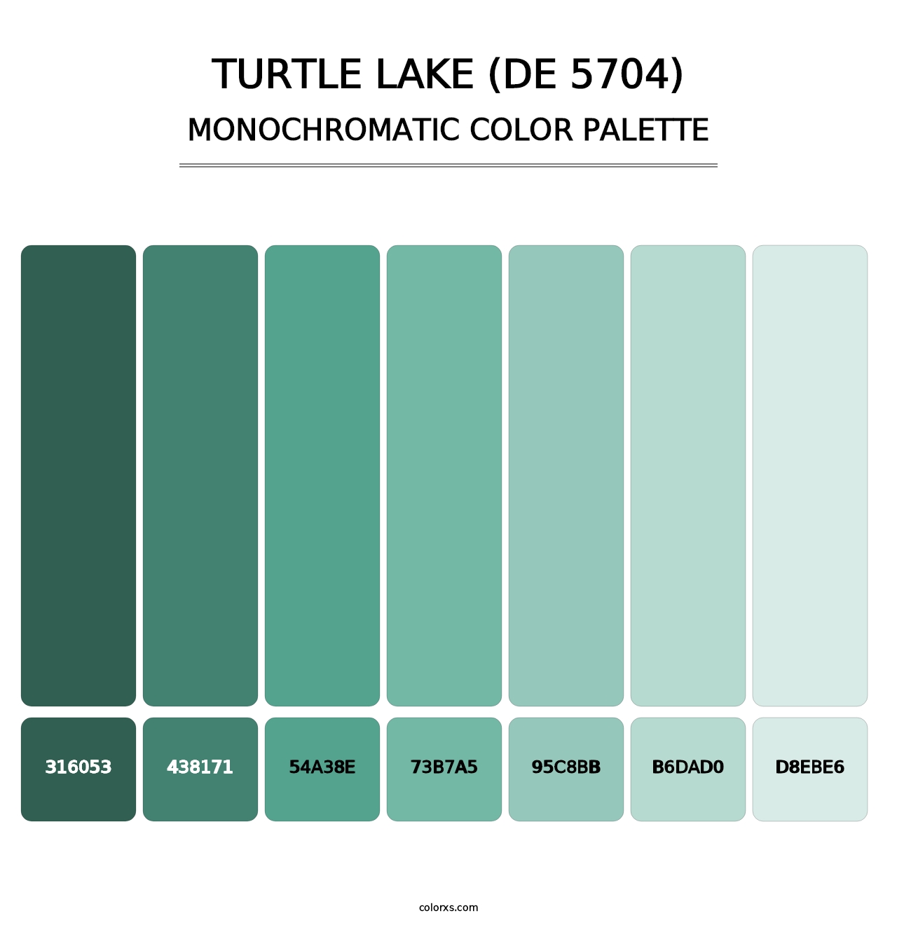 Turtle Lake (DE 5704) - Monochromatic Color Palette