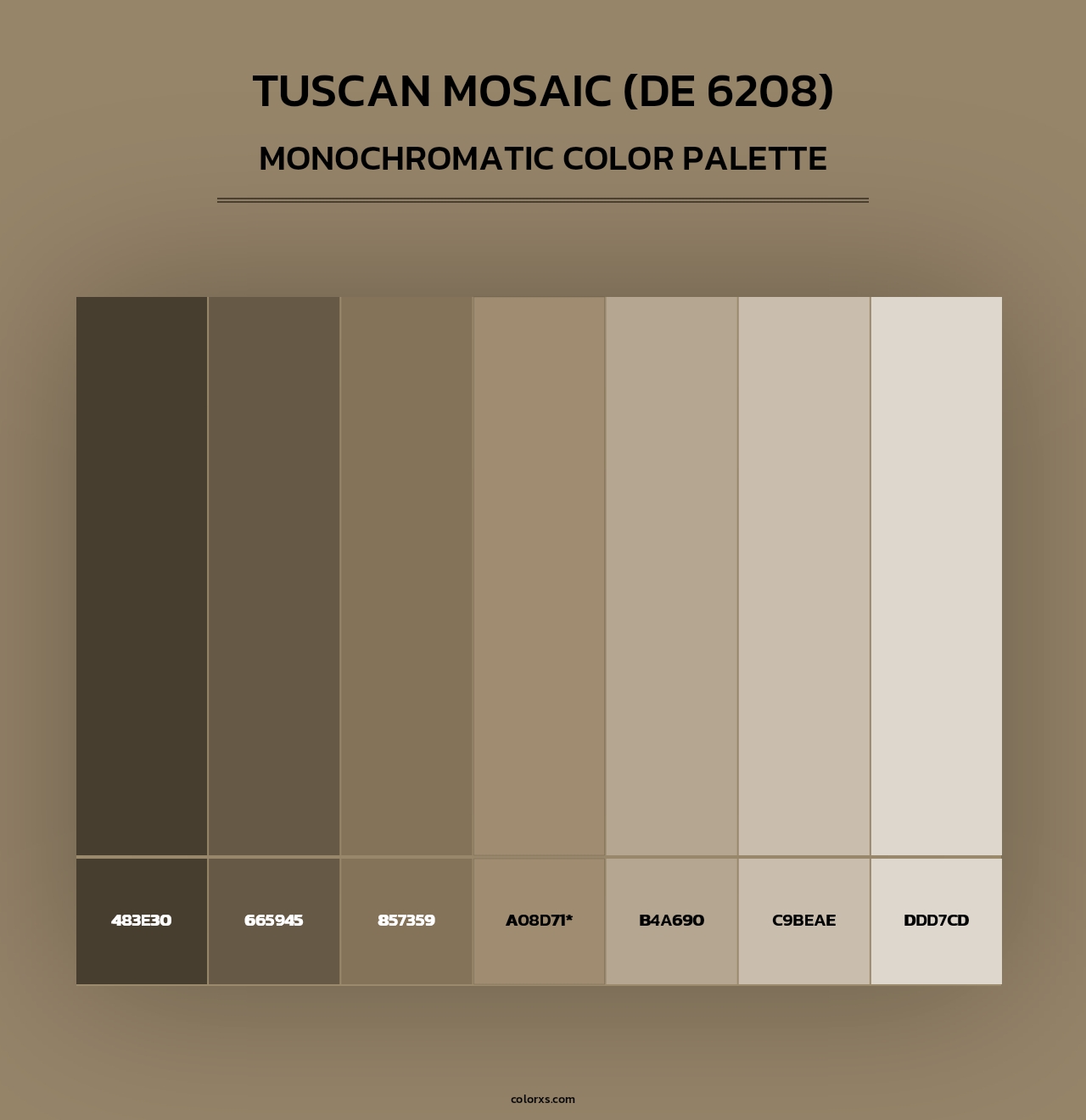 Tuscan Mosaic (DE 6208) - Monochromatic Color Palette
