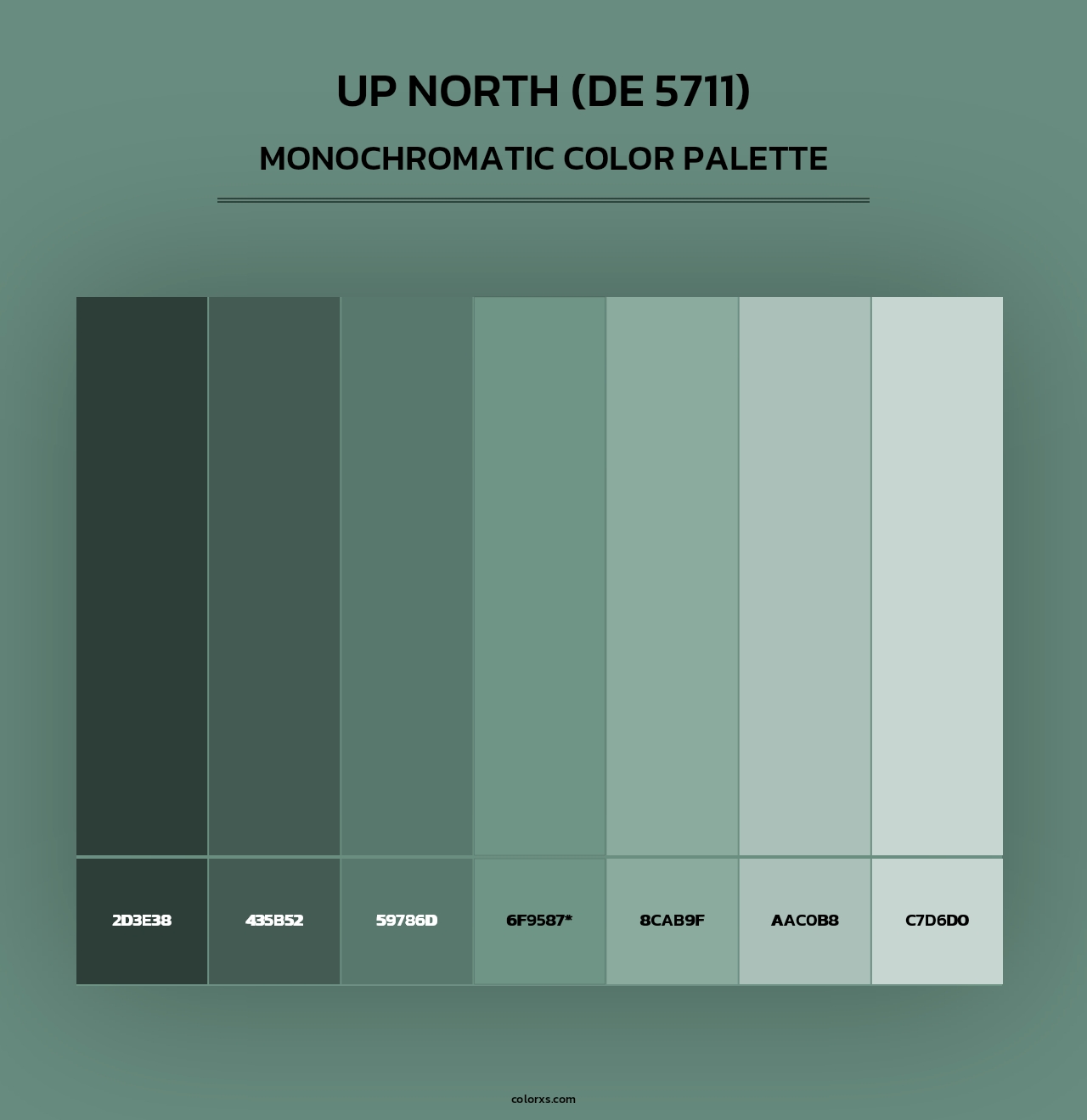 Up North (DE 5711) - Monochromatic Color Palette