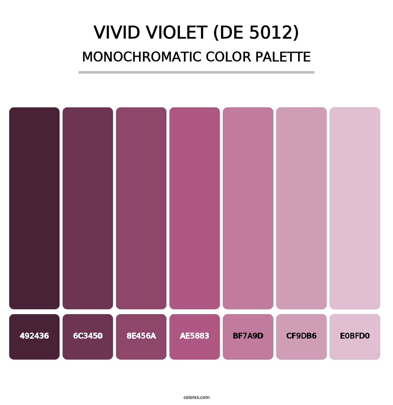 Vivid Violet (DE 5012) - Monochromatic Color Palette