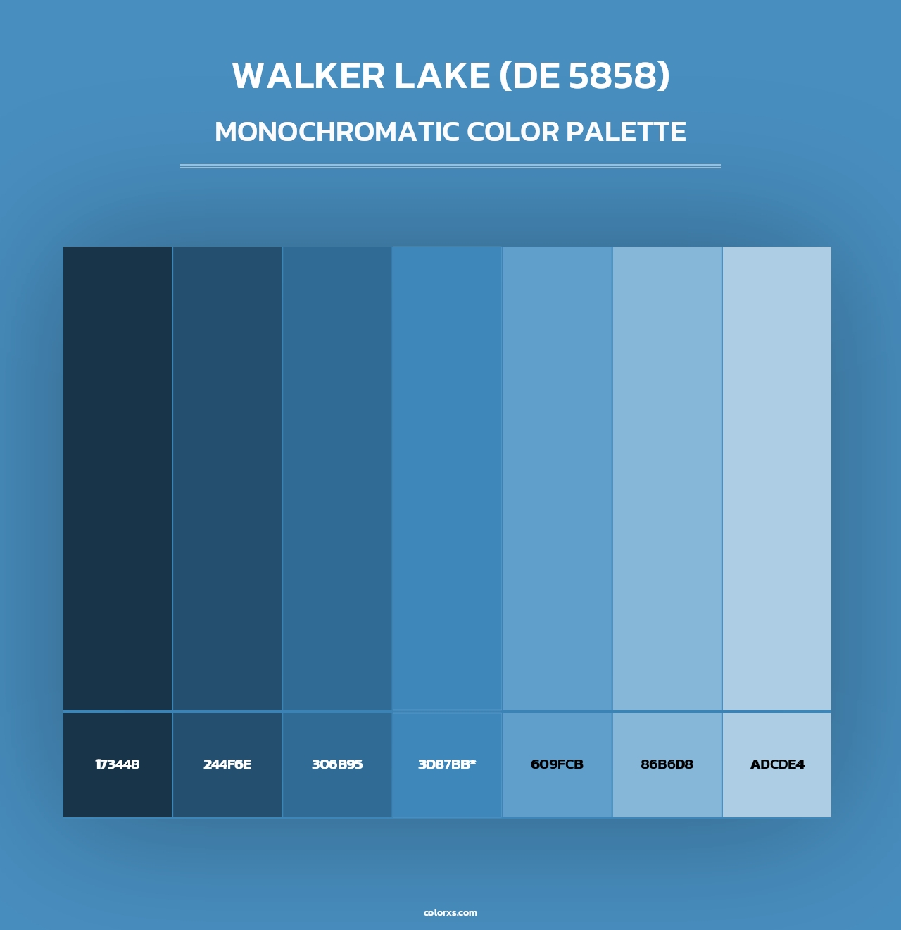 Walker Lake (DE 5858) - Monochromatic Color Palette