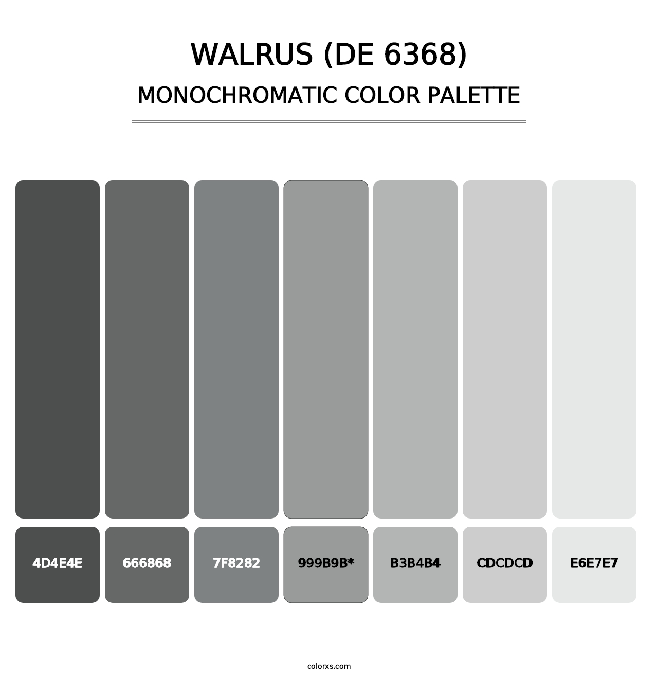 Walrus (DE 6368) - Monochromatic Color Palette