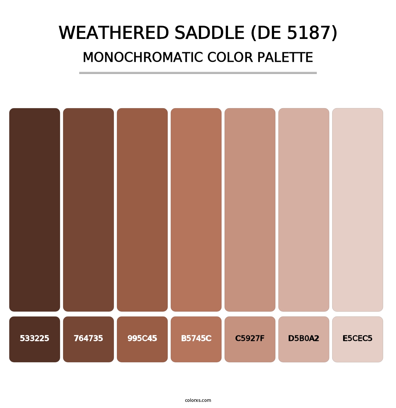 Weathered Saddle (DE 5187) - Monochromatic Color Palette