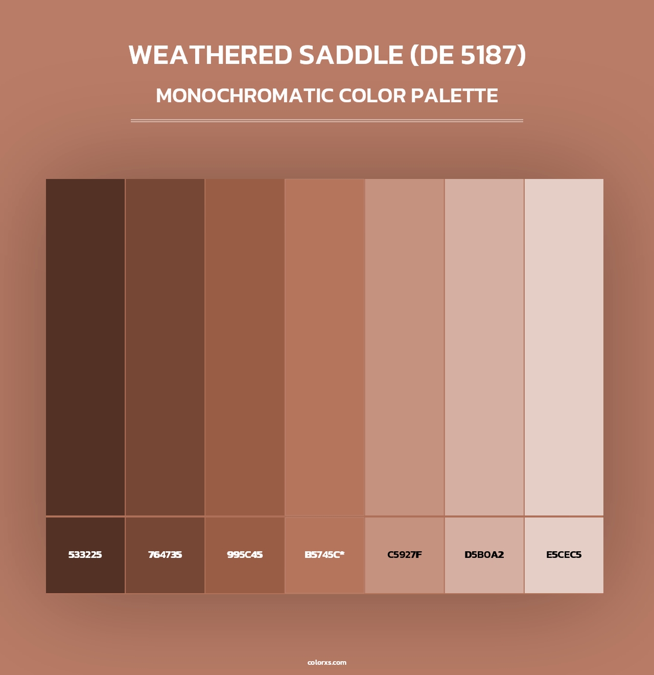 Weathered Saddle (DE 5187) - Monochromatic Color Palette