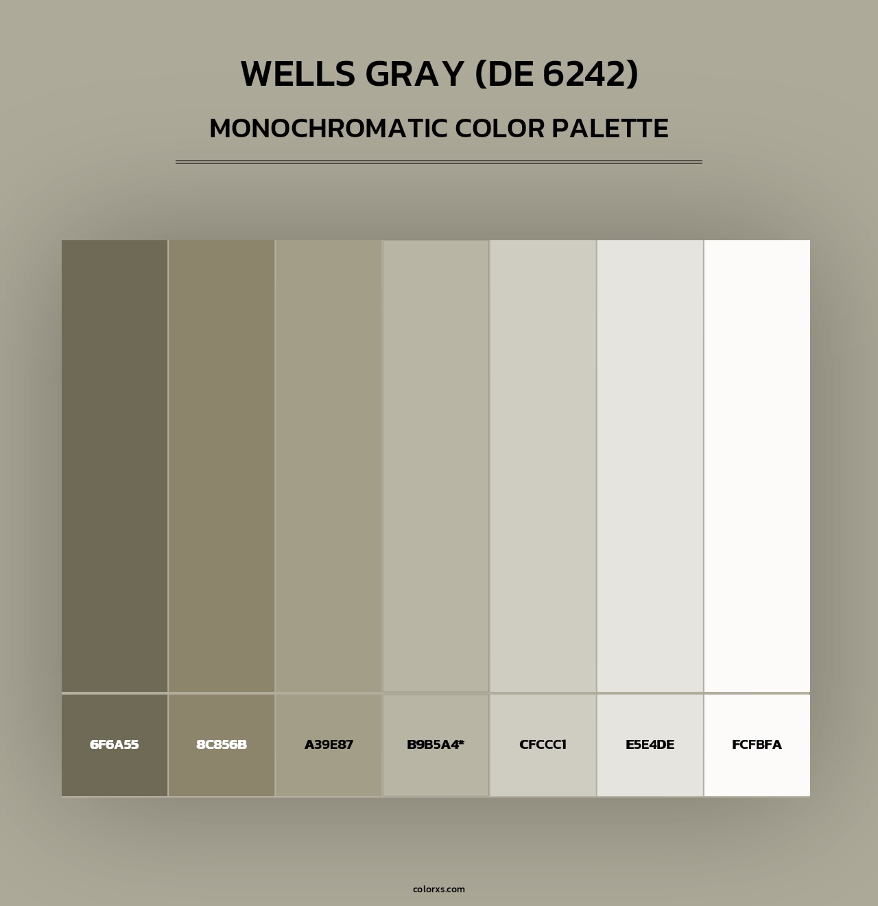 Wells Gray (DE 6242) - Monochromatic Color Palette