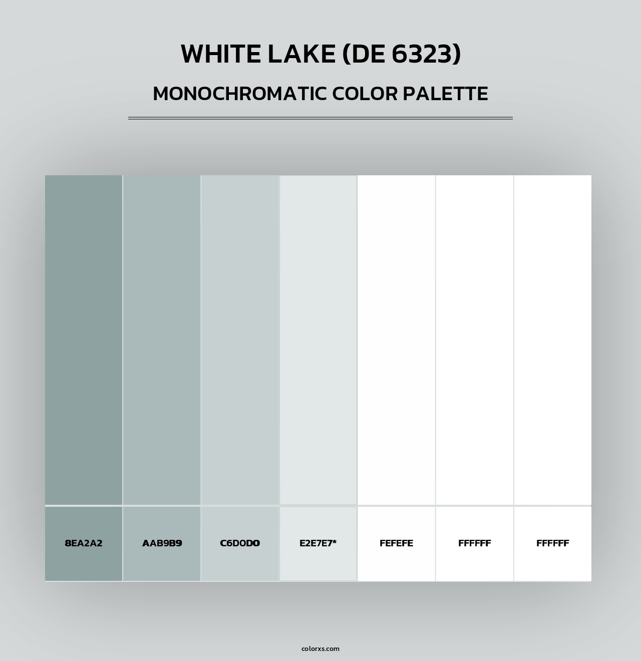 White Lake (DE 6323) - Monochromatic Color Palette