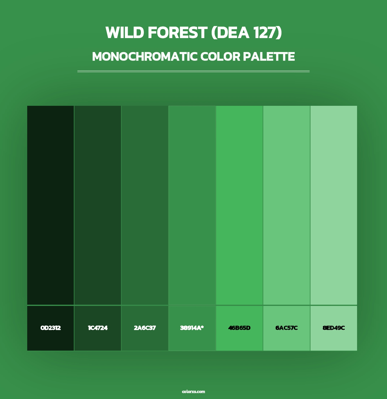 Wild Forest (DEA 127) - Monochromatic Color Palette