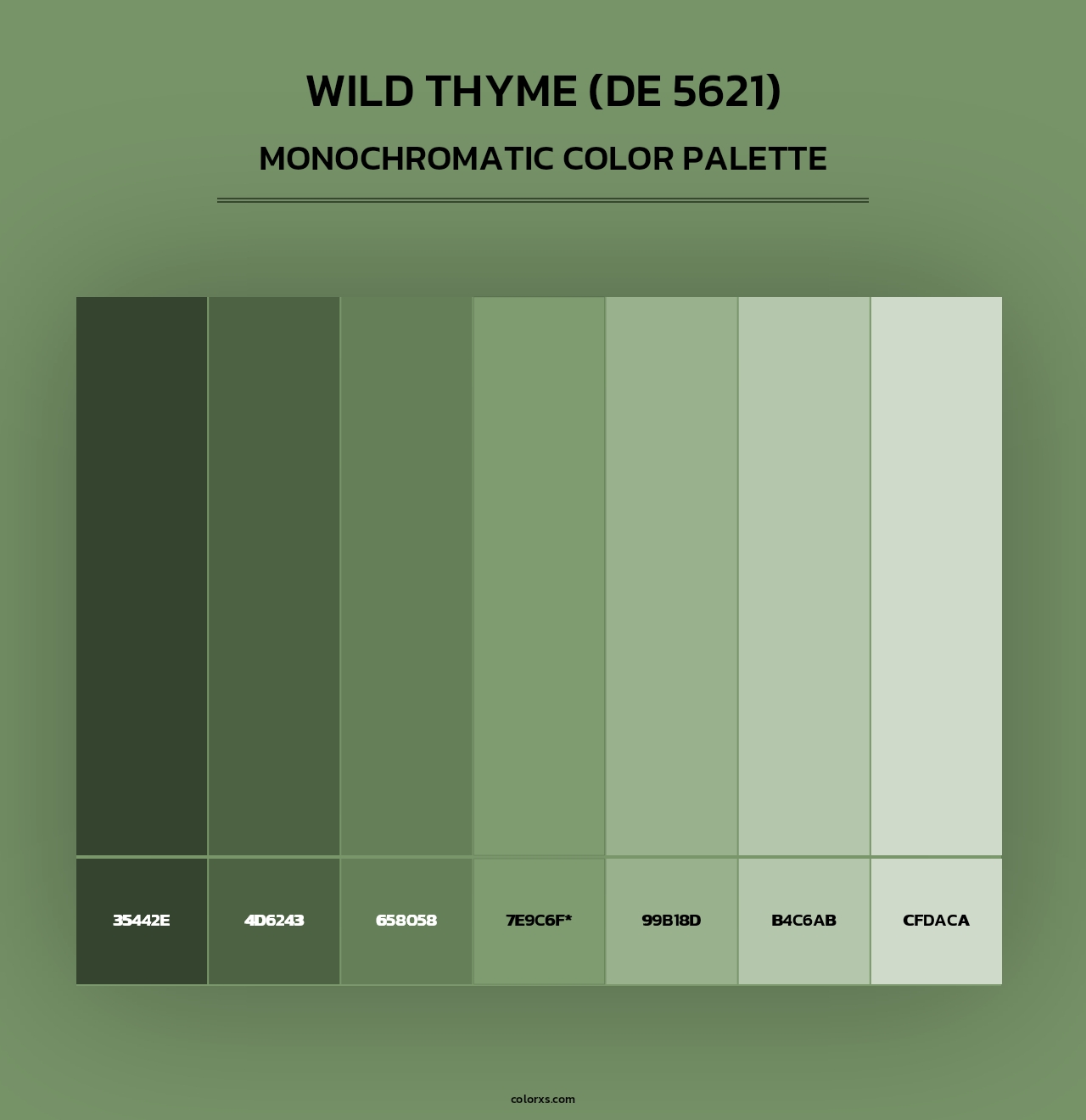 Wild Thyme (DE 5621) - Monochromatic Color Palette