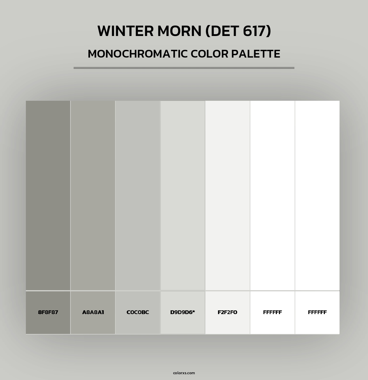 Winter Morn (DET 617) - Monochromatic Color Palette