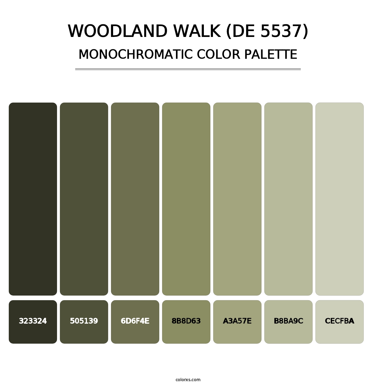 Woodland Walk (DE 5537) - Monochromatic Color Palette