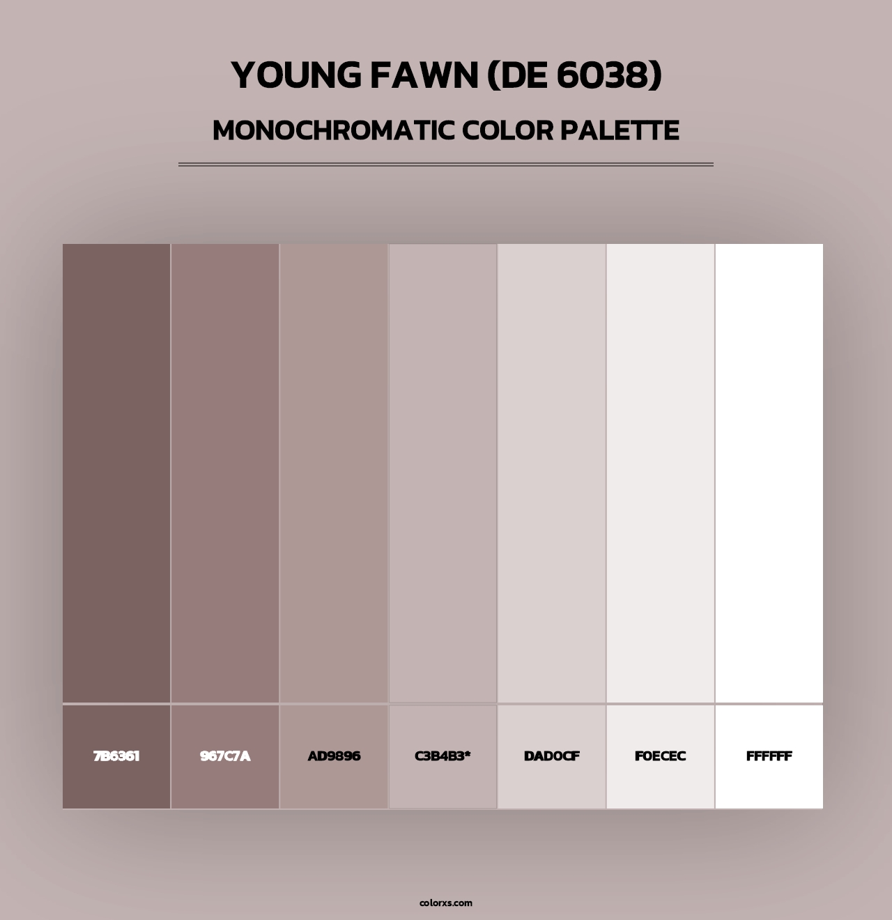 Young Fawn (DE 6038) - Monochromatic Color Palette