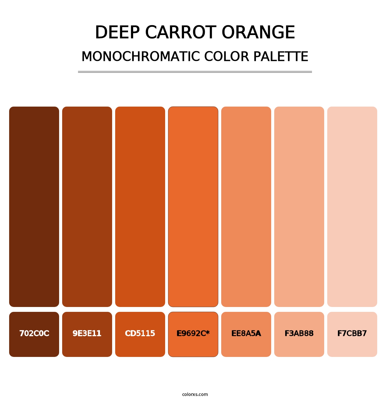 Deep Carrot Orange - Monochromatic Color Palette