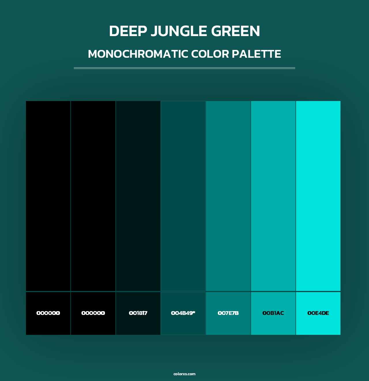 Deep Jungle Green - Monochromatic Color Palette