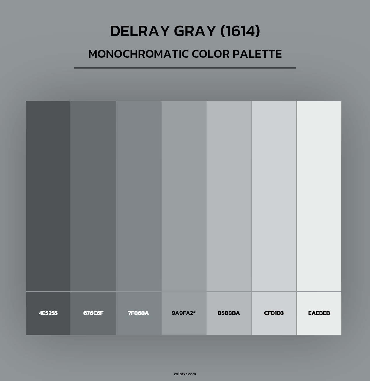 Delray Gray (1614) - Monochromatic Color Palette