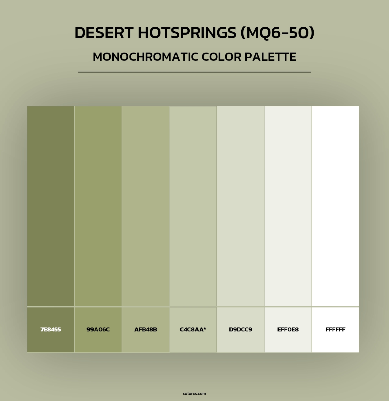 Desert Hotsprings (MQ6-50) - Monochromatic Color Palette