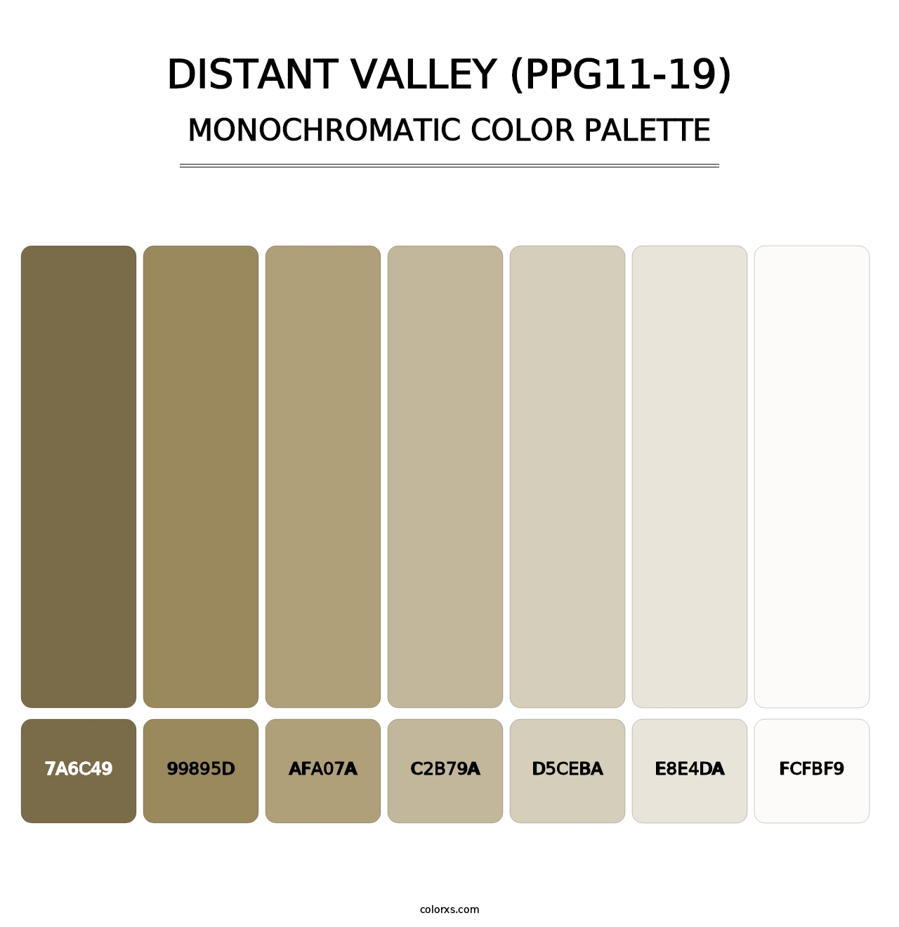 Distant Valley (PPG11-19) - Monochromatic Color Palette