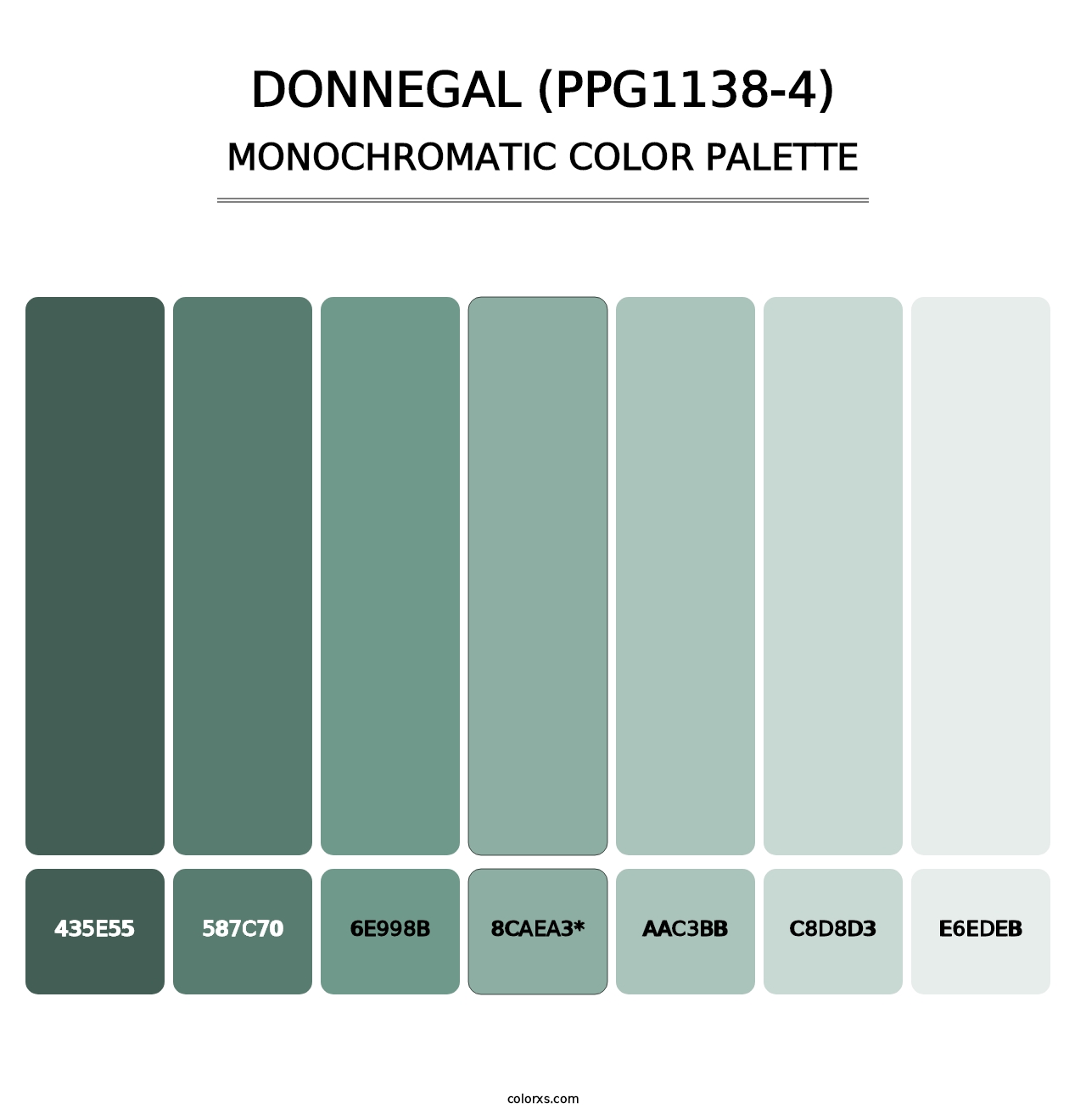 Donnegal (PPG1138-4) - Monochromatic Color Palette