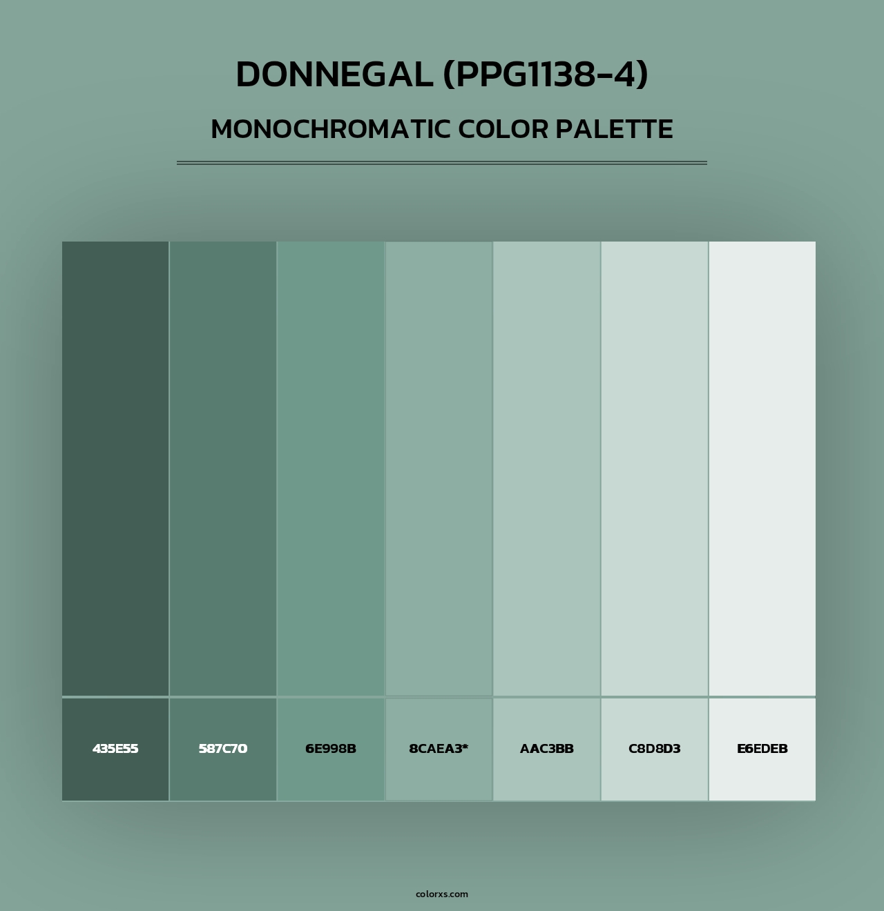 Donnegal (PPG1138-4) - Monochromatic Color Palette
