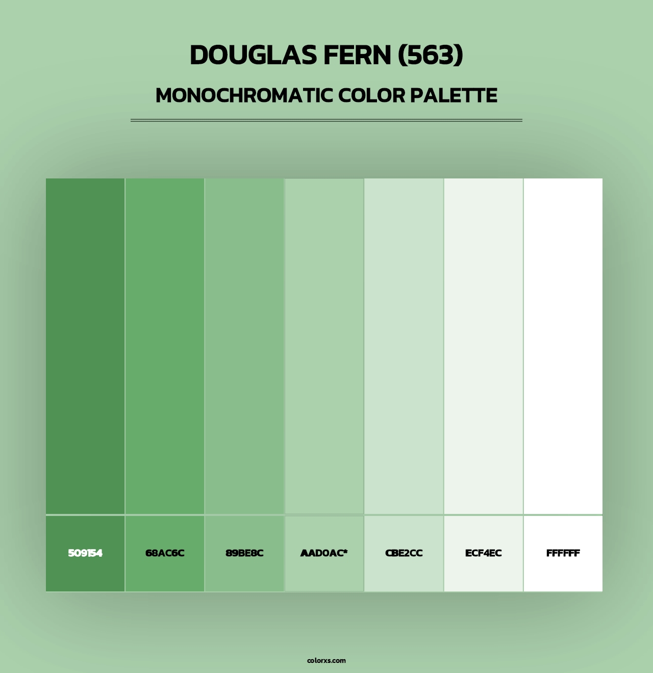 Douglas Fern (563) - Monochromatic Color Palette