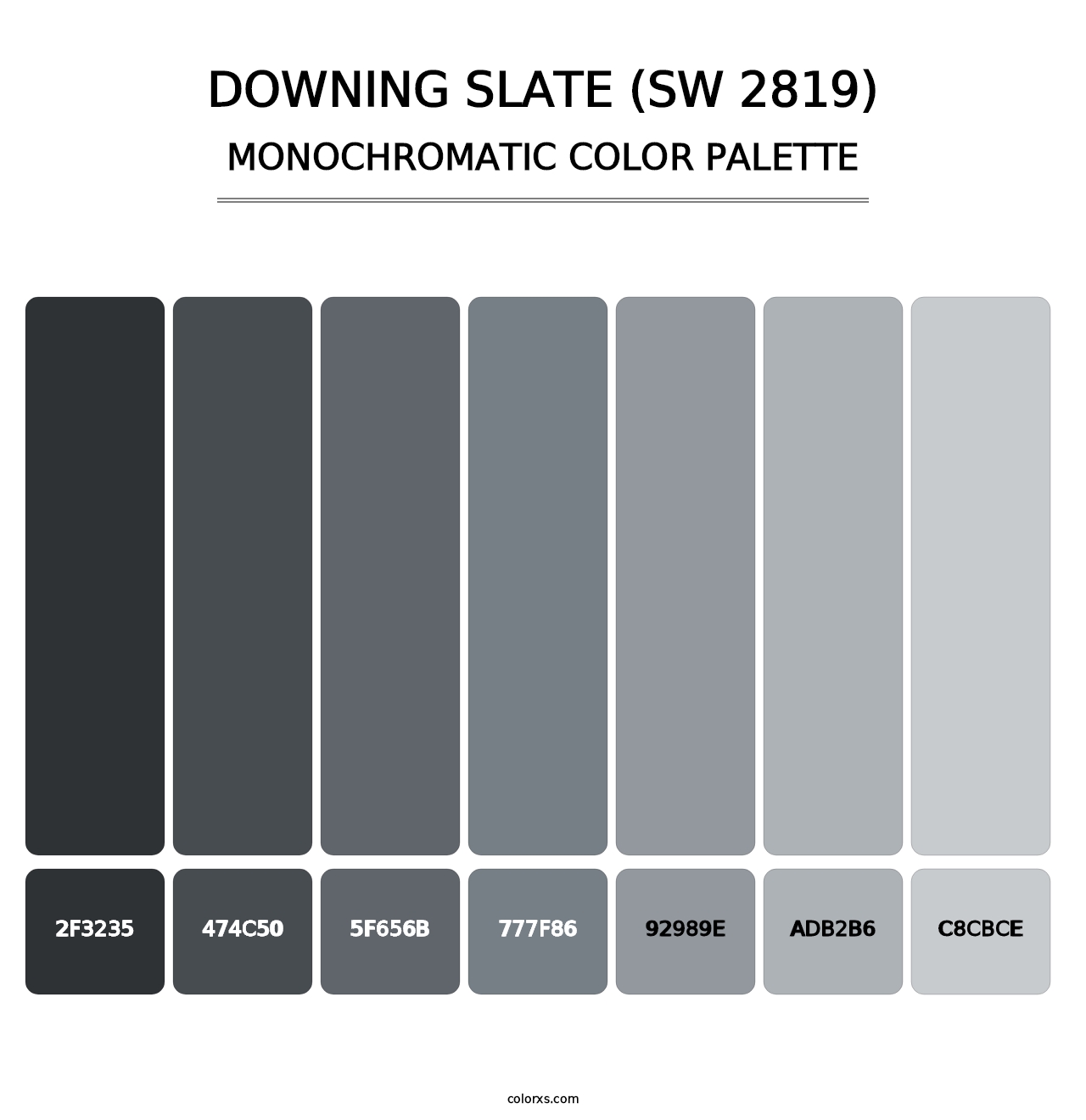 Downing Slate (SW 2819) - Monochromatic Color Palette