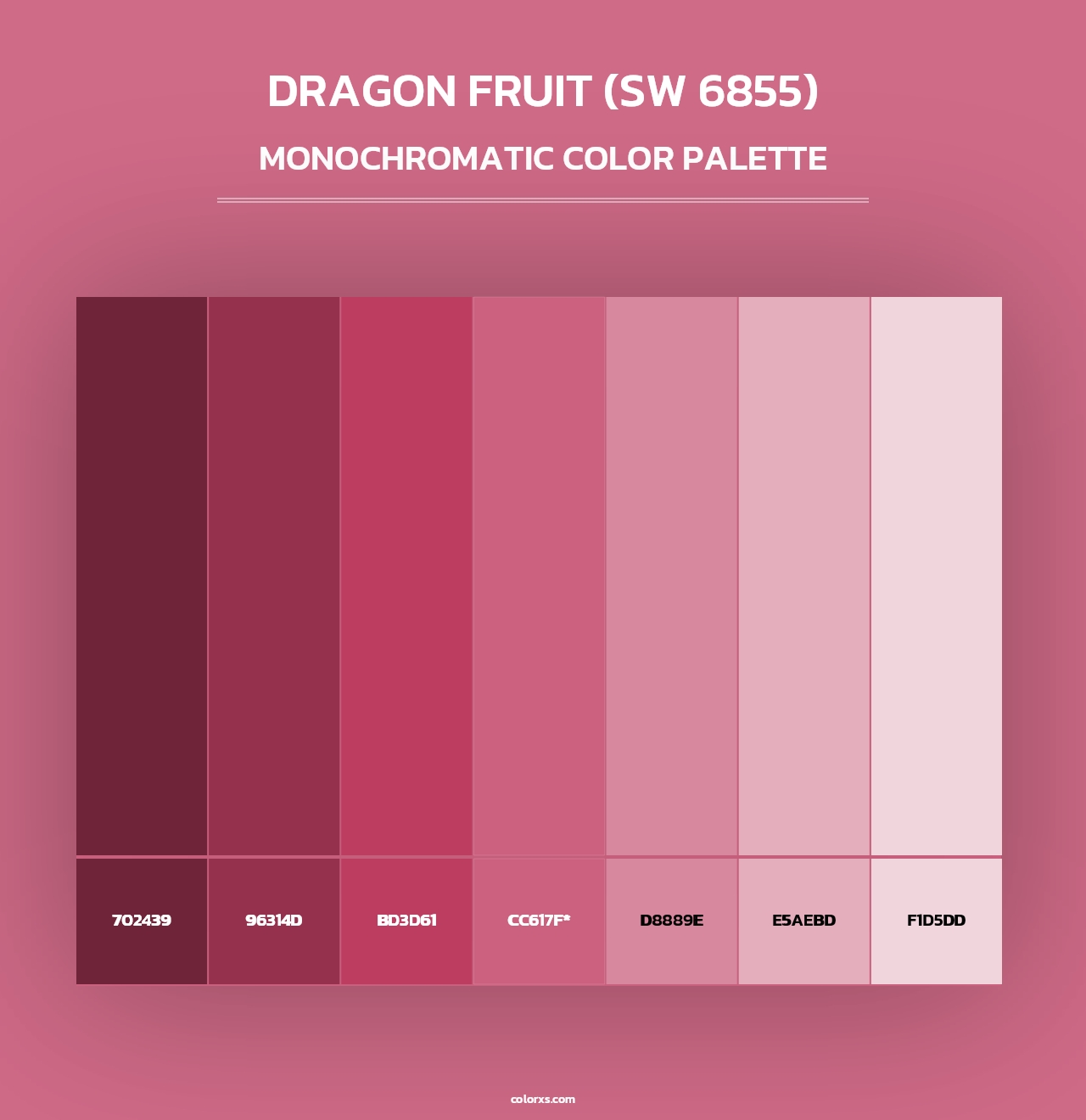 Dragon Fruit (SW 6855) - Monochromatic Color Palette