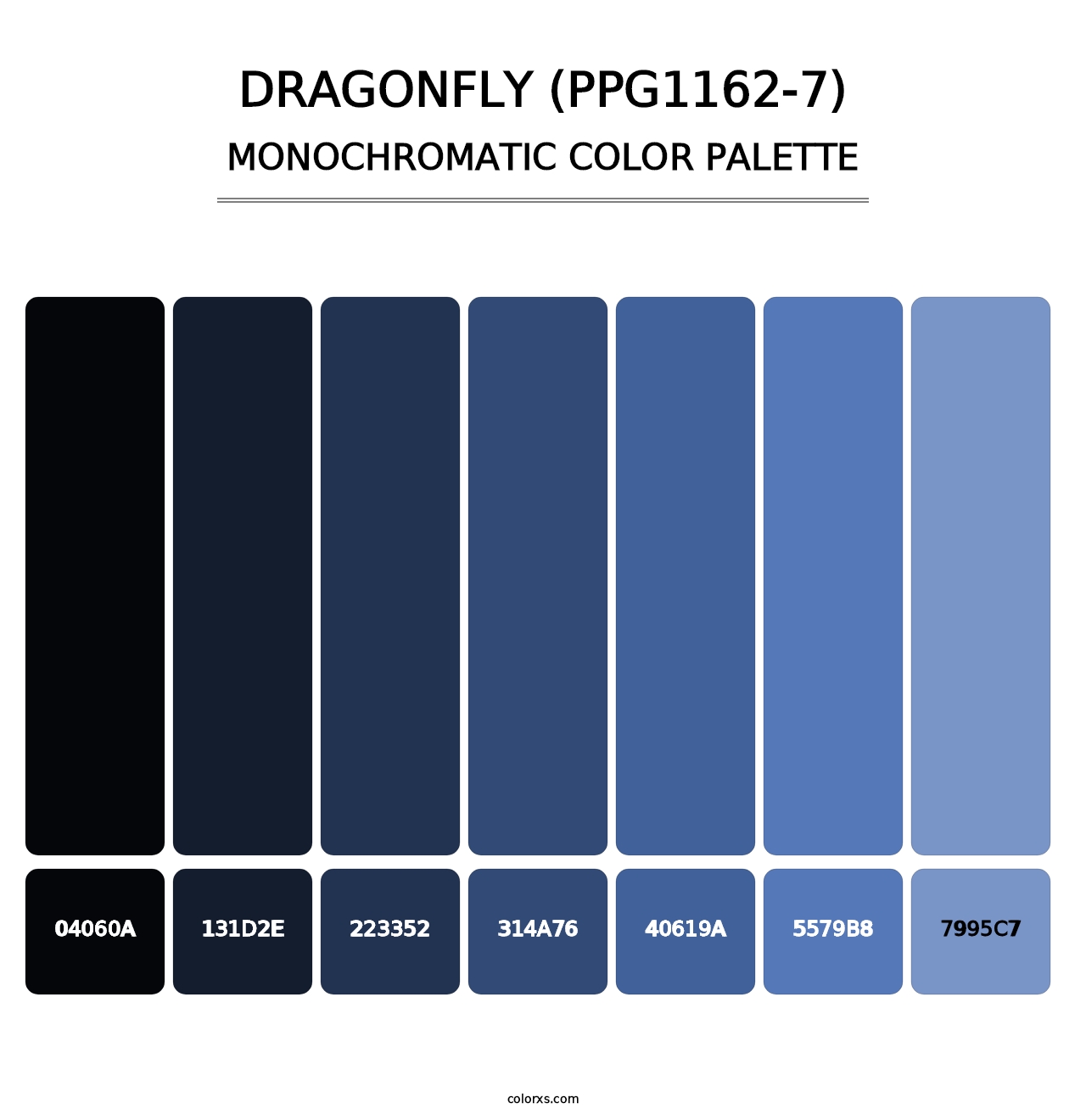 Dragonfly (PPG1162-7) - Monochromatic Color Palette