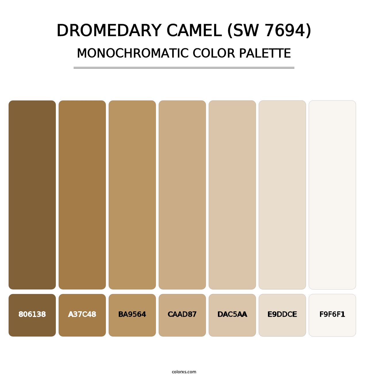Dromedary Camel (SW 7694) - Monochromatic Color Palette