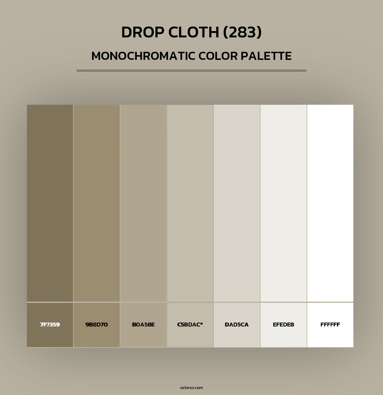 Drop Cloth (283) - Monochromatic Color Palette