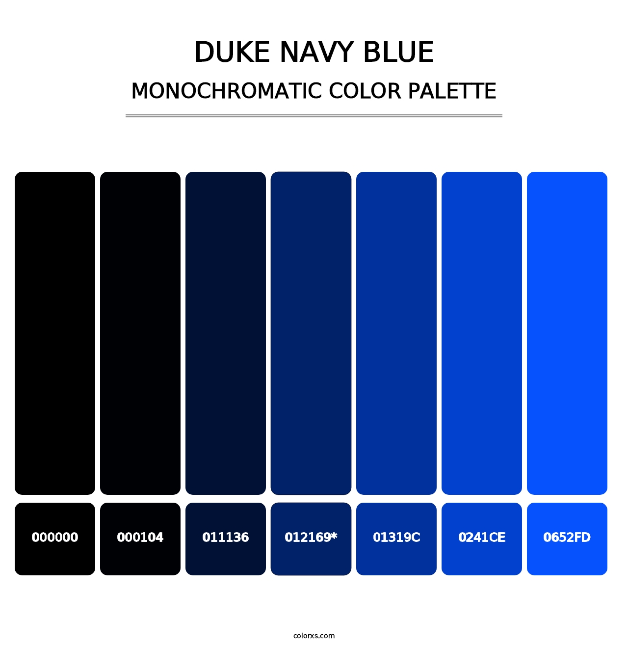 Duke Navy Blue - Monochromatic Color Palette