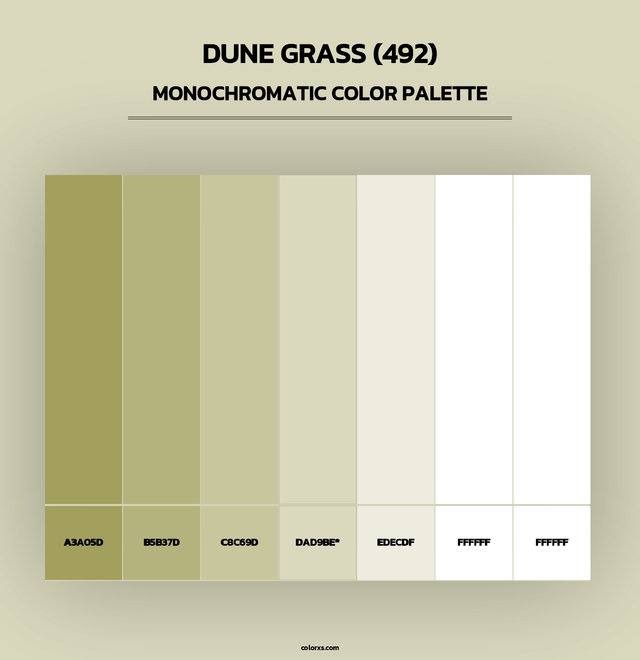 Dune Grass (492) - Monochromatic Color Palette