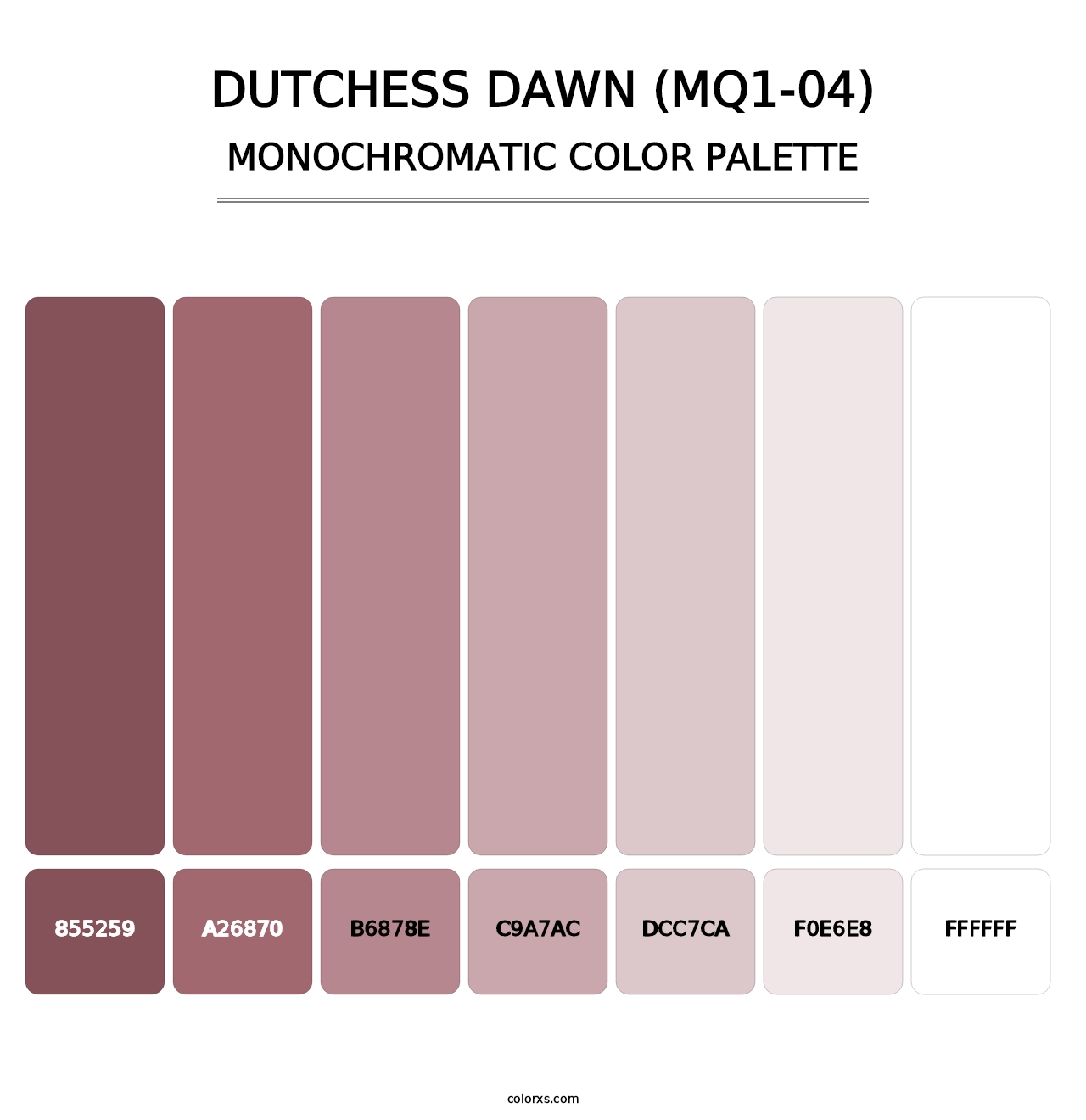 Dutchess Dawn (MQ1-04) - Monochromatic Color Palette