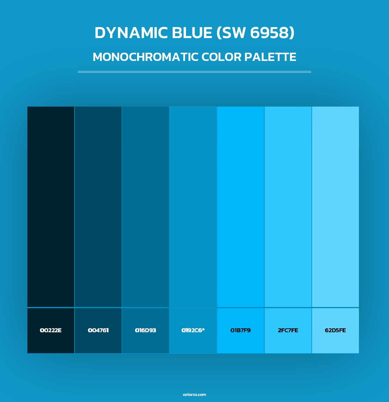 Dynamic Blue (SW 6958) - Monochromatic Color Palette