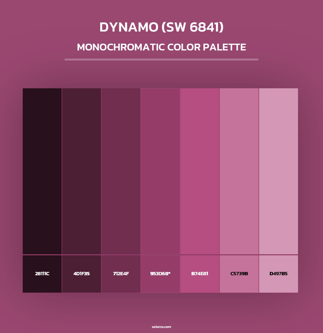 Dynamo (SW 6841) - Monochromatic Color Palette