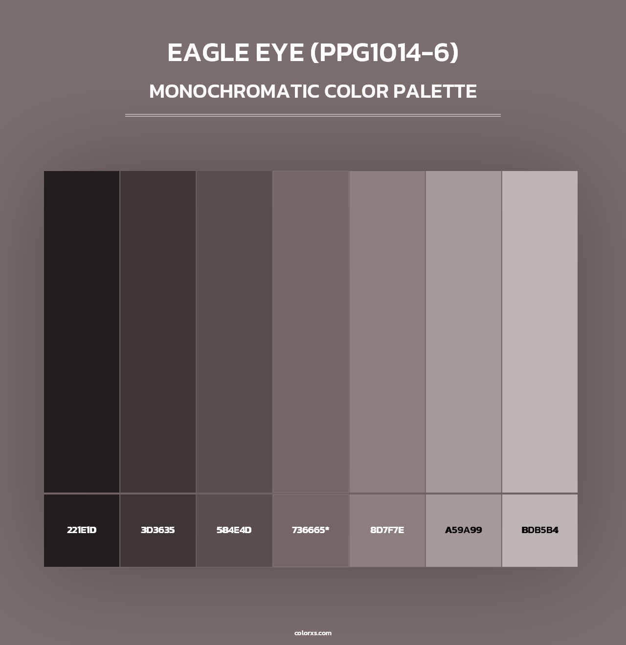 Eagle Eye (PPG1014-6) - Monochromatic Color Palette