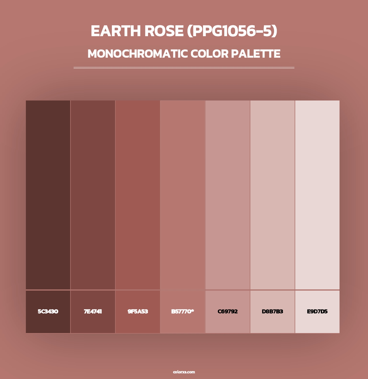 Earth Rose (PPG1056-5) - Monochromatic Color Palette