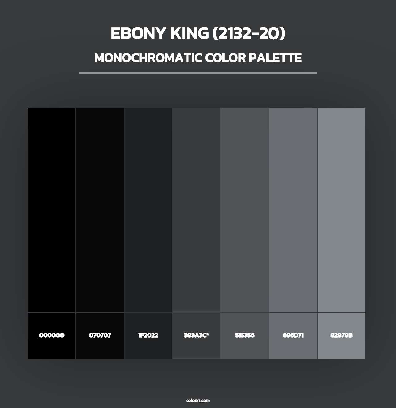 Ebony King (2132-20) - Monochromatic Color Palette