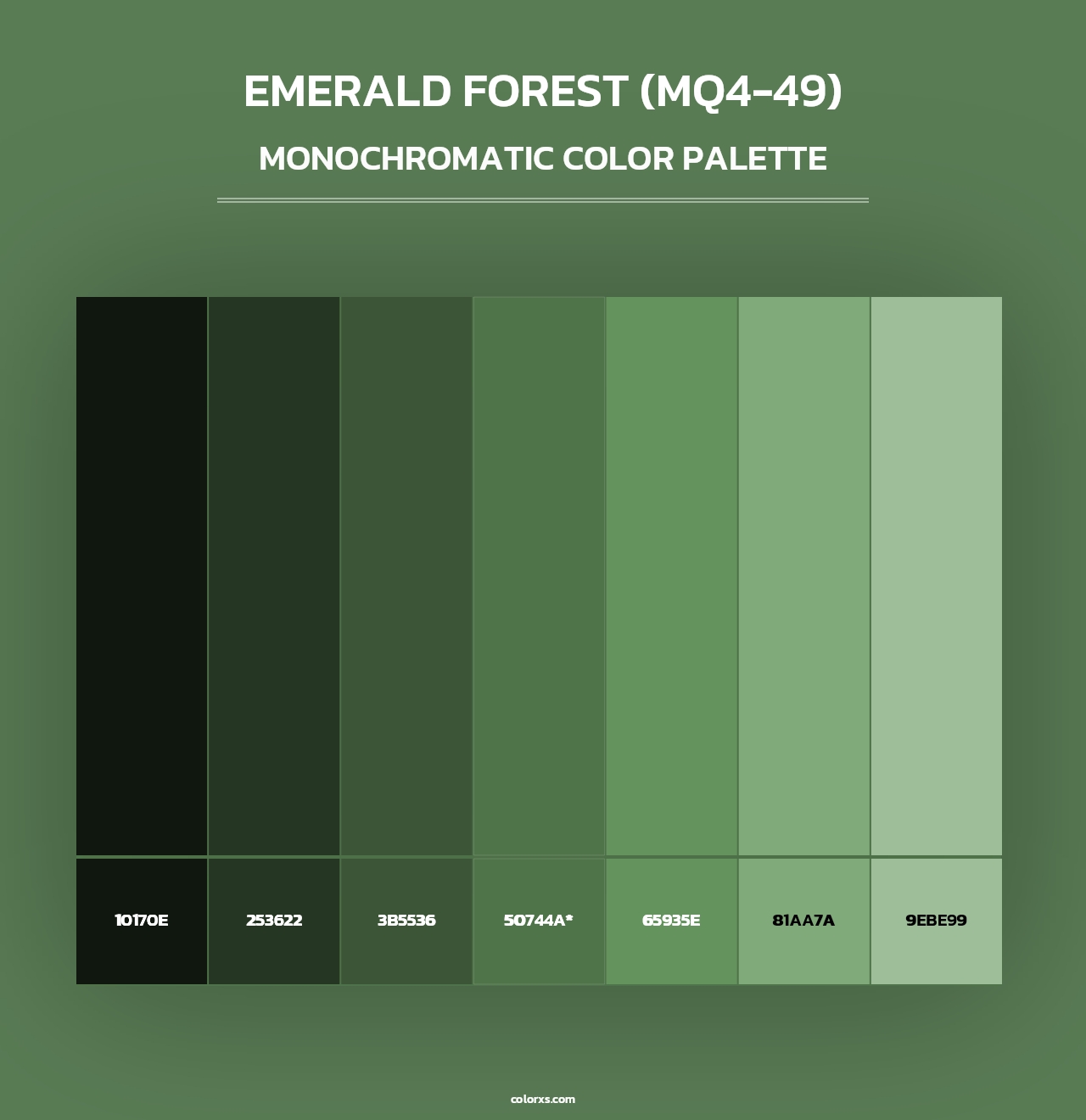 Emerald Forest (MQ4-49) - Monochromatic Color Palette