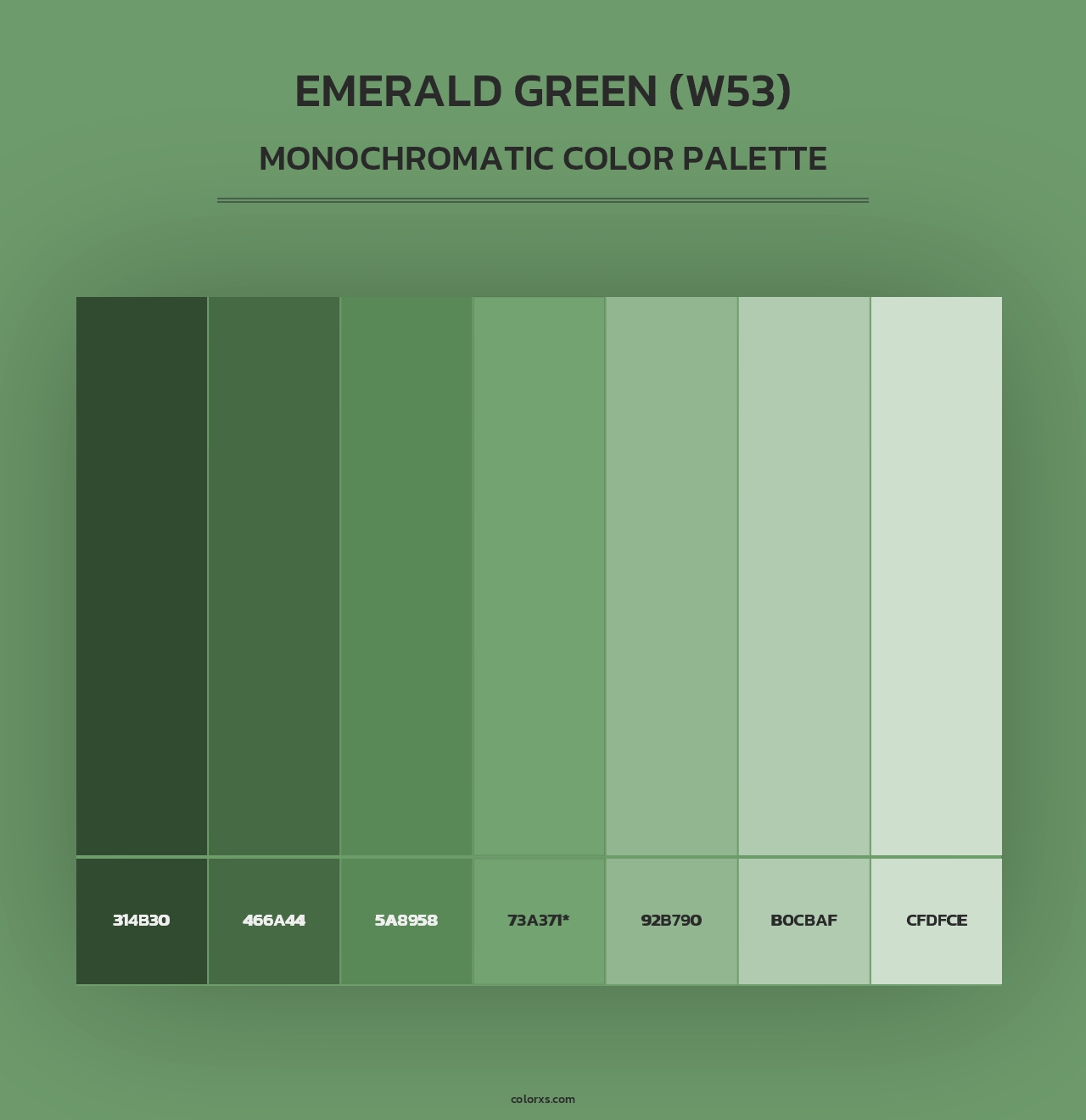 Emerald Green (W53) - Monochromatic Color Palette