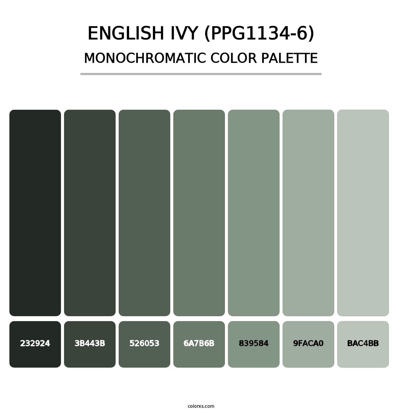 English Ivy (PPG1134-6) - Monochromatic Color Palette