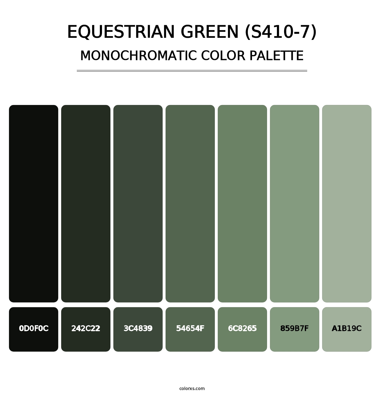 Equestrian Green (S410-7) - Monochromatic Color Palette