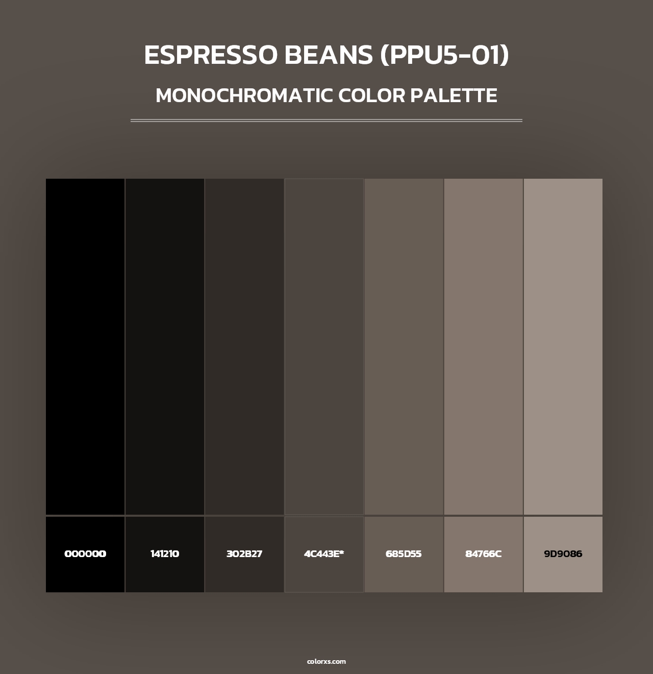 Espresso Beans (PPU5-01) - Monochromatic Color Palette
