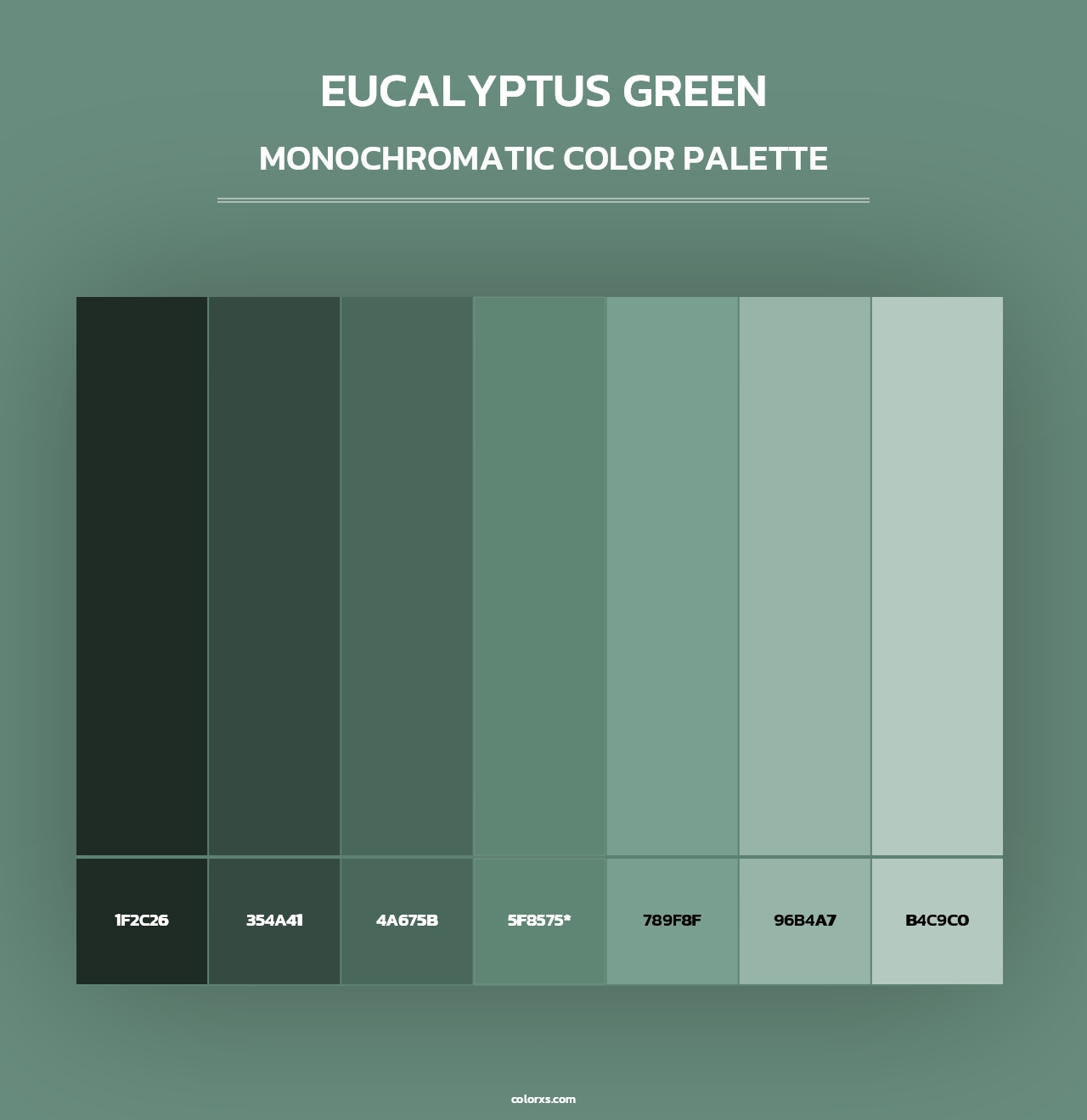 Eucalyptus Green - Monochromatic Color Palette