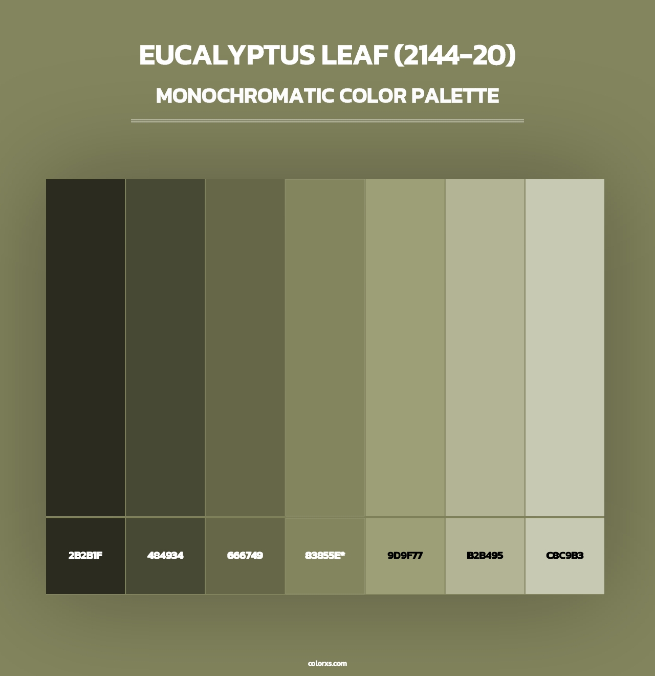Eucalyptus Leaf (2144-20) - Monochromatic Color Palette