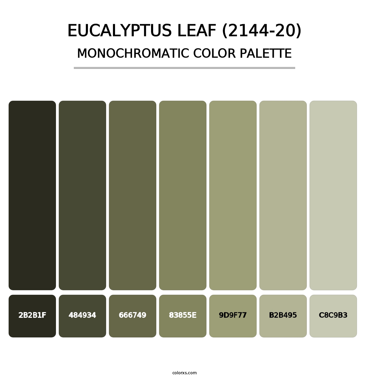 Eucalyptus Leaf (2144-20) - Monochromatic Color Palette