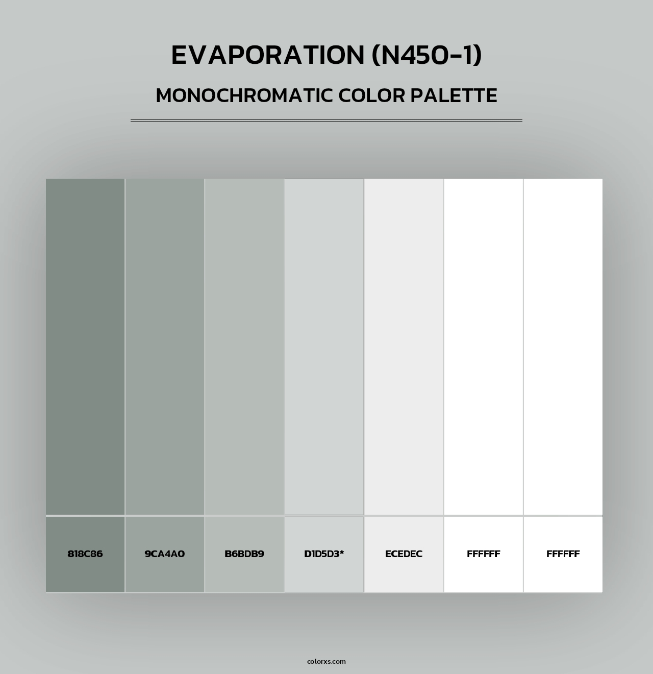 Evaporation (N450-1) - Monochromatic Color Palette