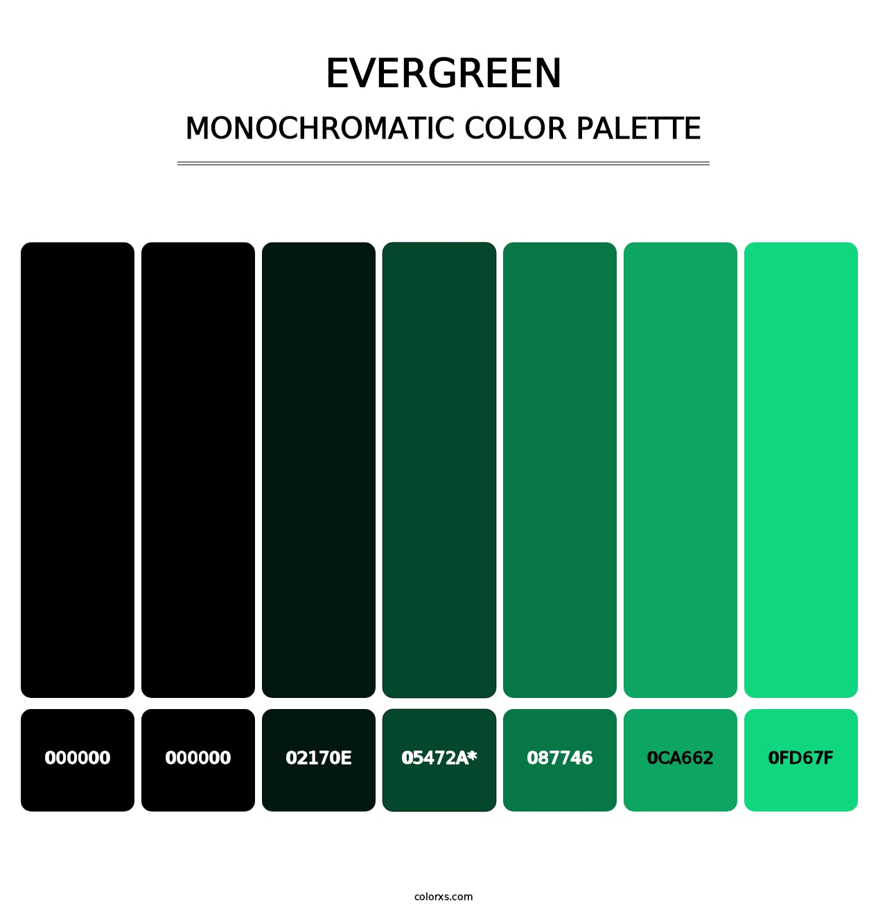 Evergreen - Monochromatic Color Palette