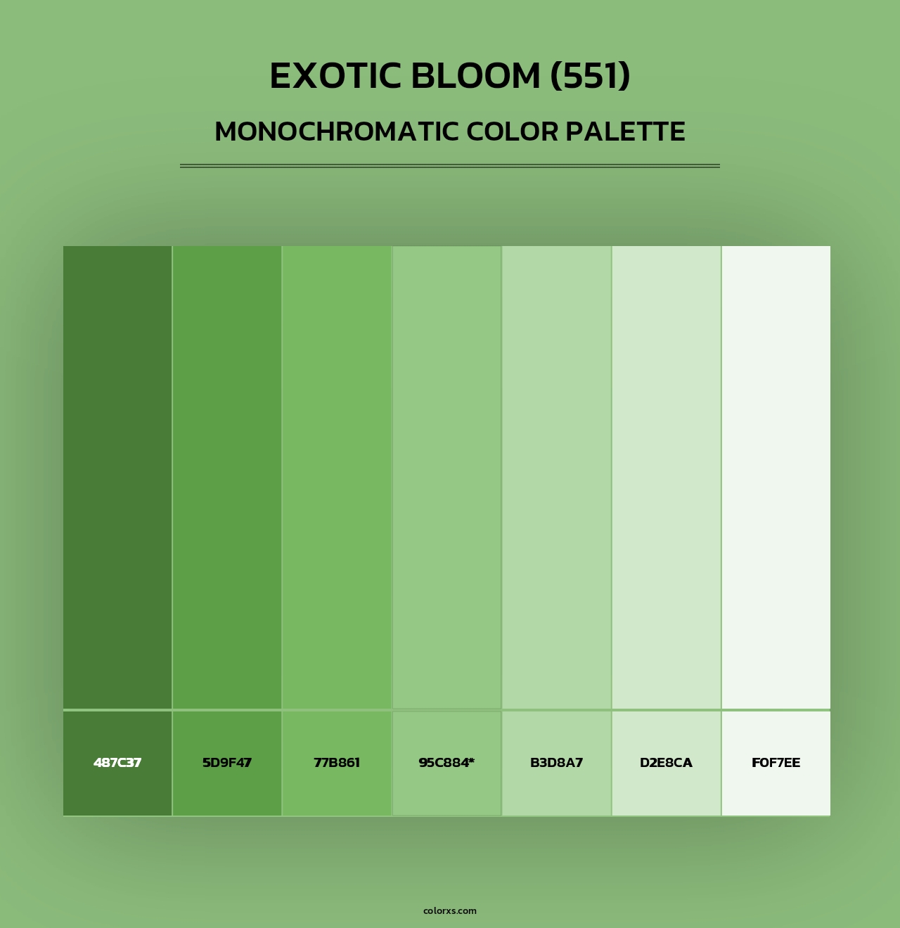 Exotic Bloom (551) - Monochromatic Color Palette