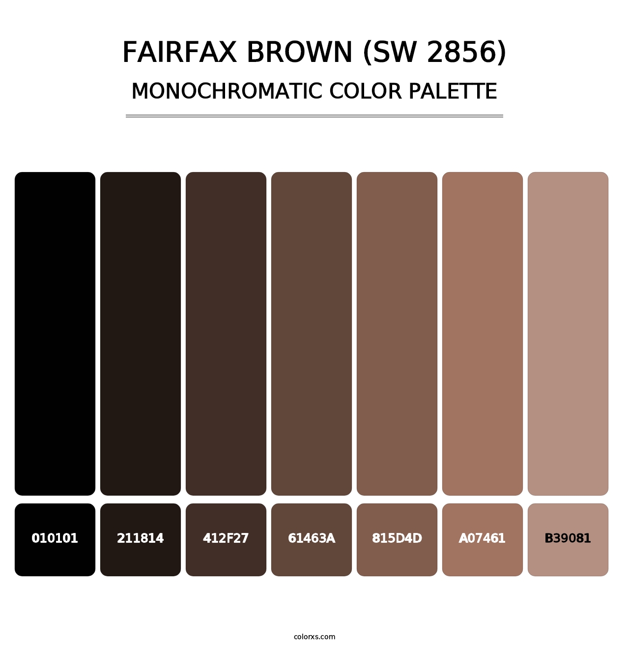 Fairfax Brown (SW 2856) - Monochromatic Color Palette